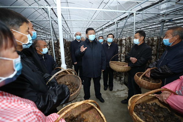 Xi Hails Role of E-Commerce in Poverty Alleviation, Rural Vi