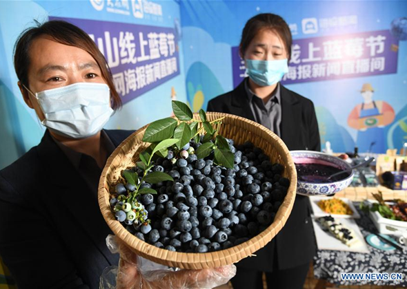 Online Blueberry Festival Held in Qingdao to Promote Sale of
